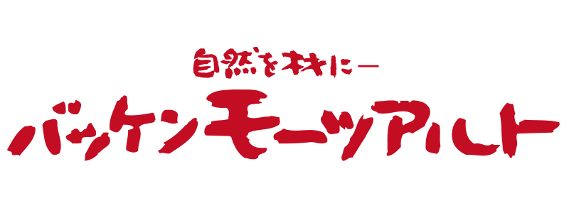 株式会社モーツアルト